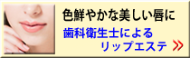 bvGXe