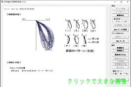 f-26-02-s